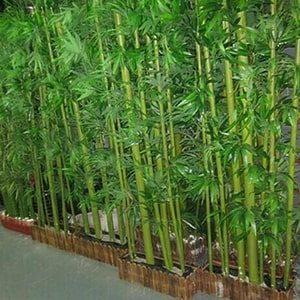 bambu k-min bambu k-min